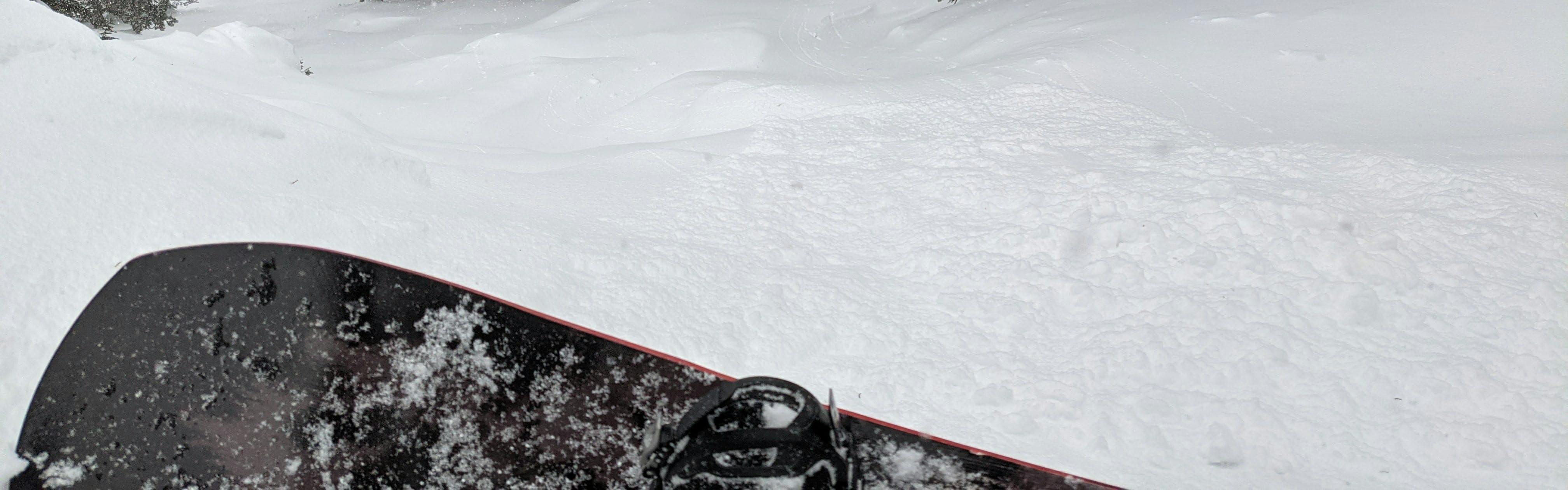 The tip of a snowboard pointed down a snowy run.