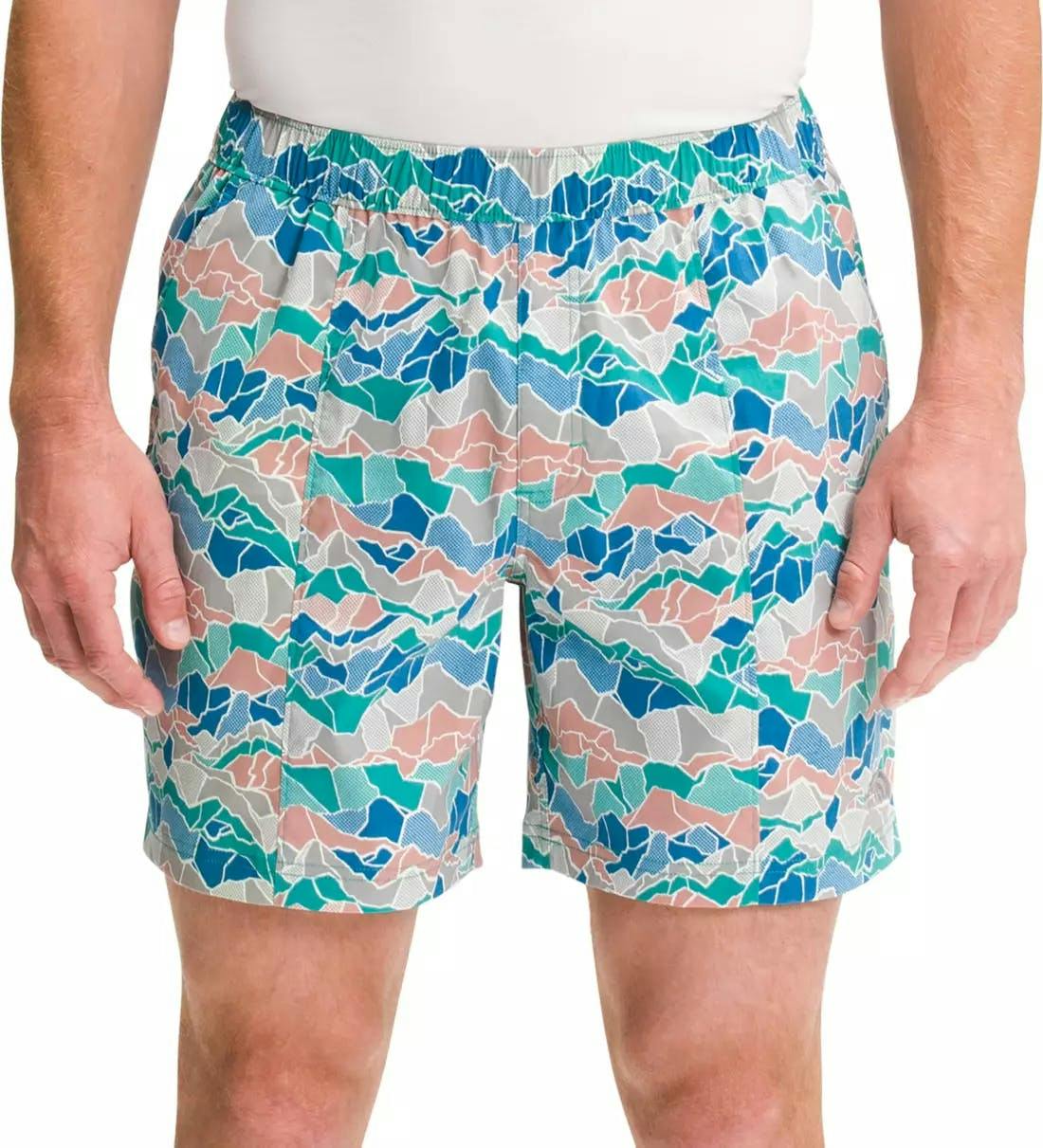 The North Face Men's Printed Class V Pull On Shorts