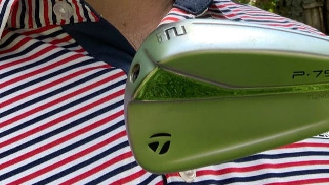 Man holding the TaylorMade P790 2 Iron.