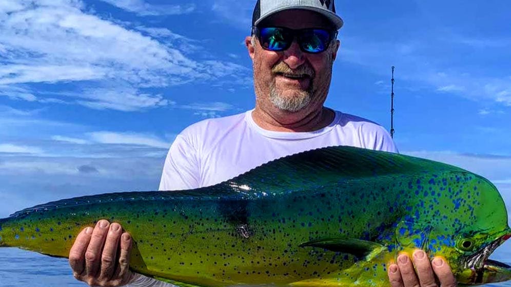 A man with a short white beard, a white t-shirt, a hat, and sunglasses holds up a massive blue, green, and yellow fish while standing on a boat.