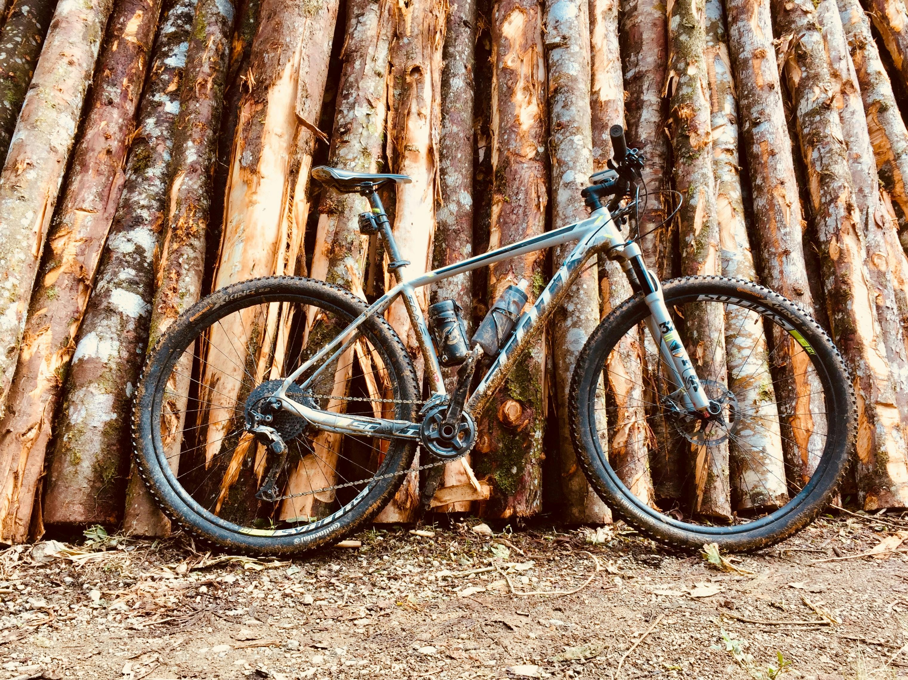 A dirty mountain bike leans against tree trunks