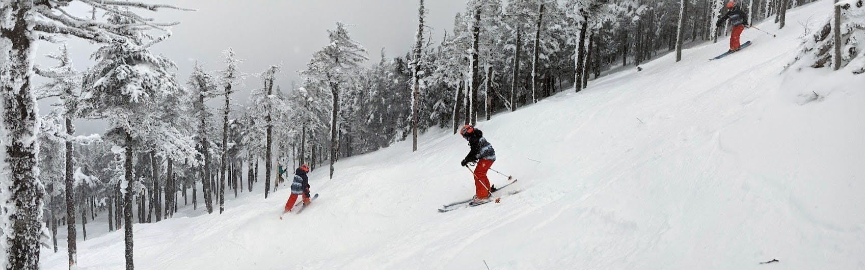 Two skiers both turn down a snowy, tree filled ski run. 