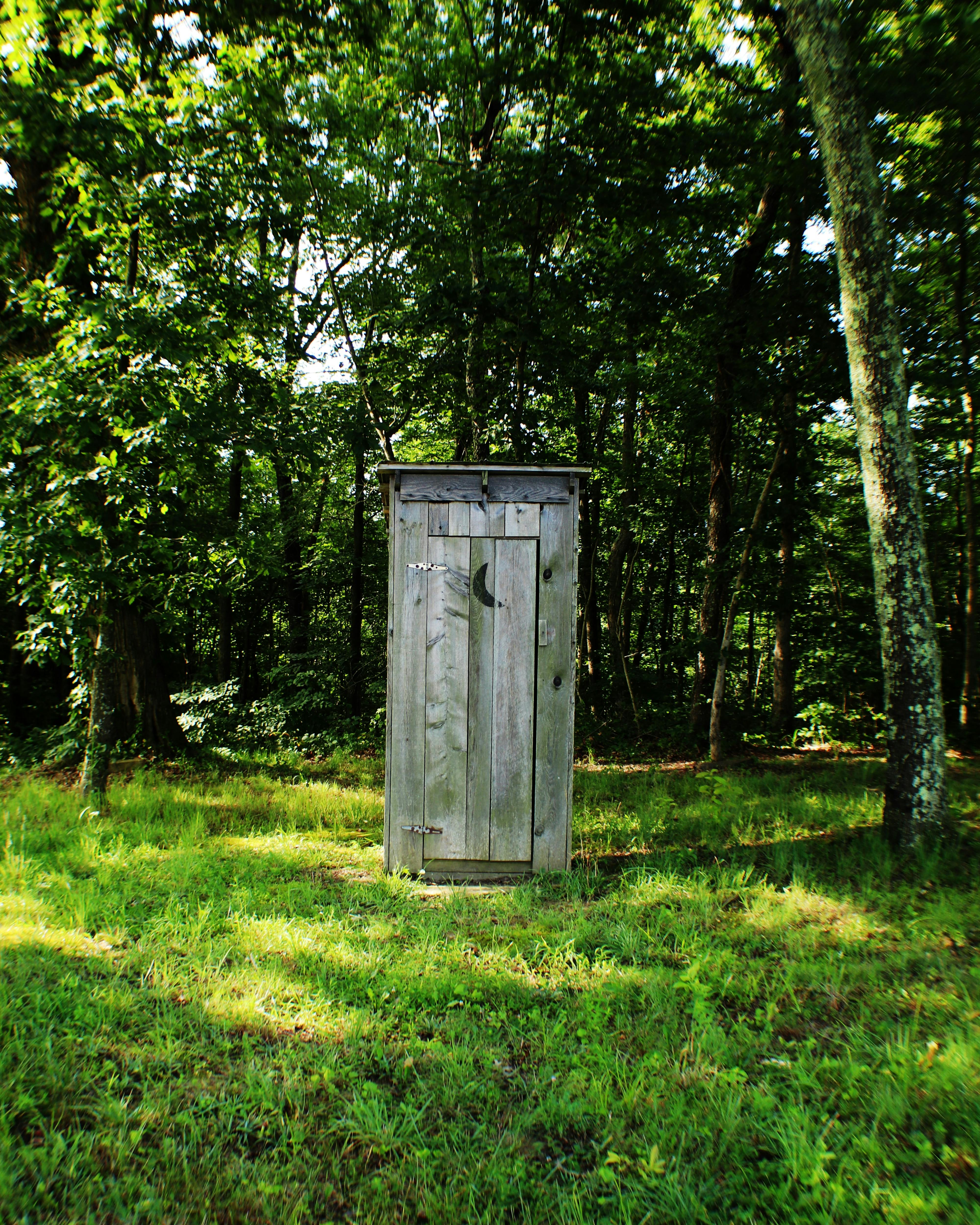 A wooden outhouse standing in a green forest with a moon carved into the door