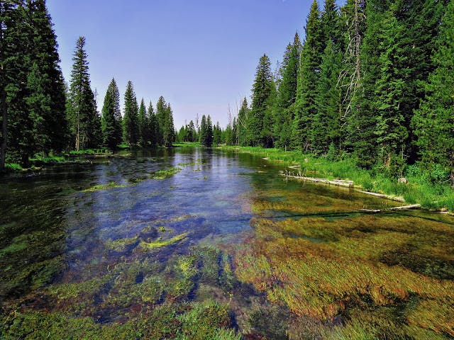 The river in Island Park, ID has crystal clear water which allows you to see the river rocks at its bottom. 