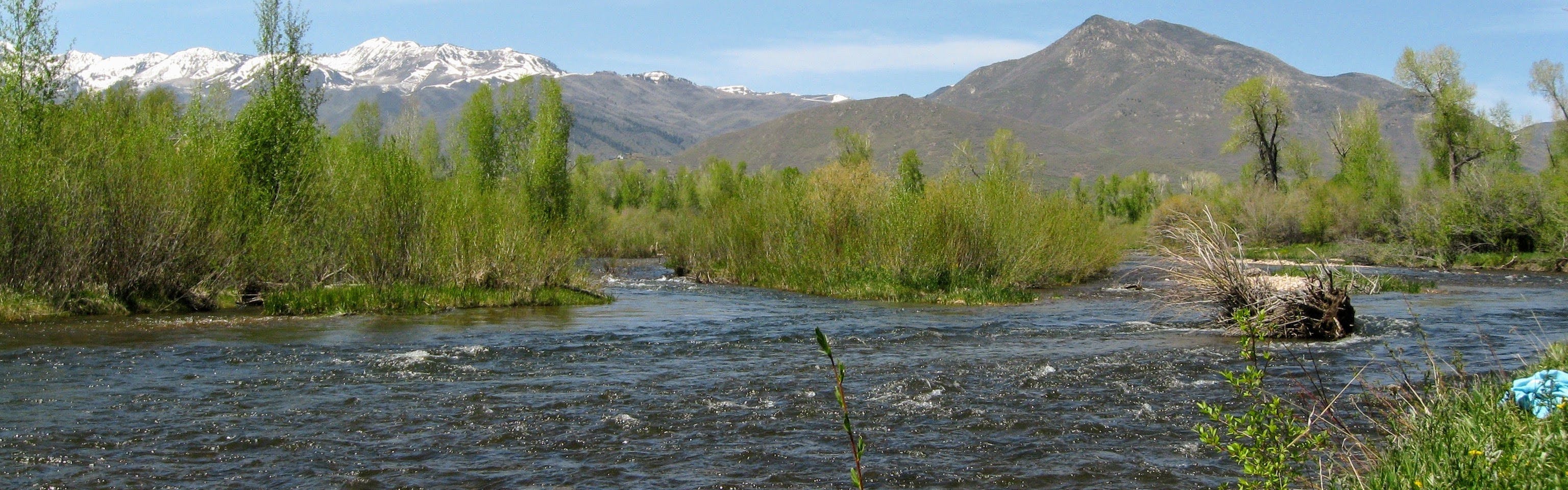 A river with mountains in the background. 