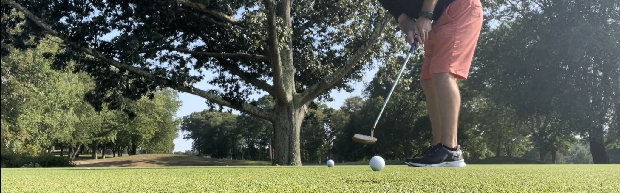 A man putts a golf ball on a course.