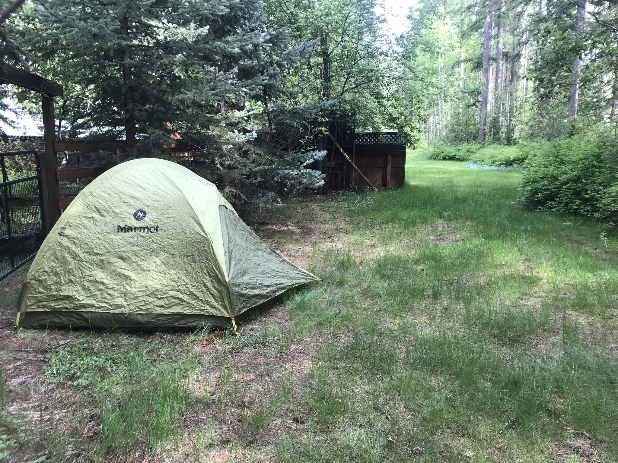The Marmot Tungsten 3P tent set up in some grass.