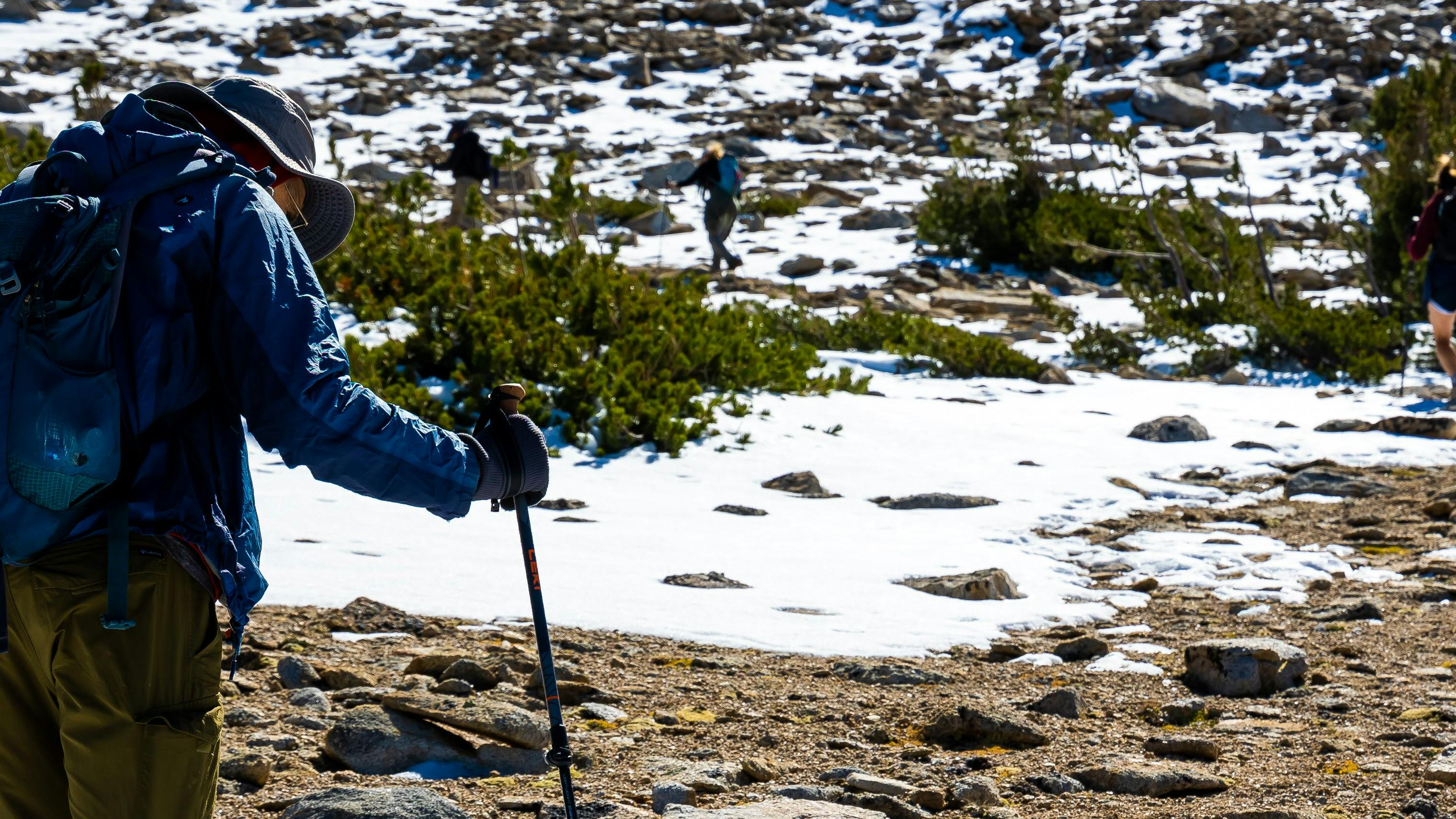 A hiker hiking with the Leki Legacy Lite Trekking Poles.
