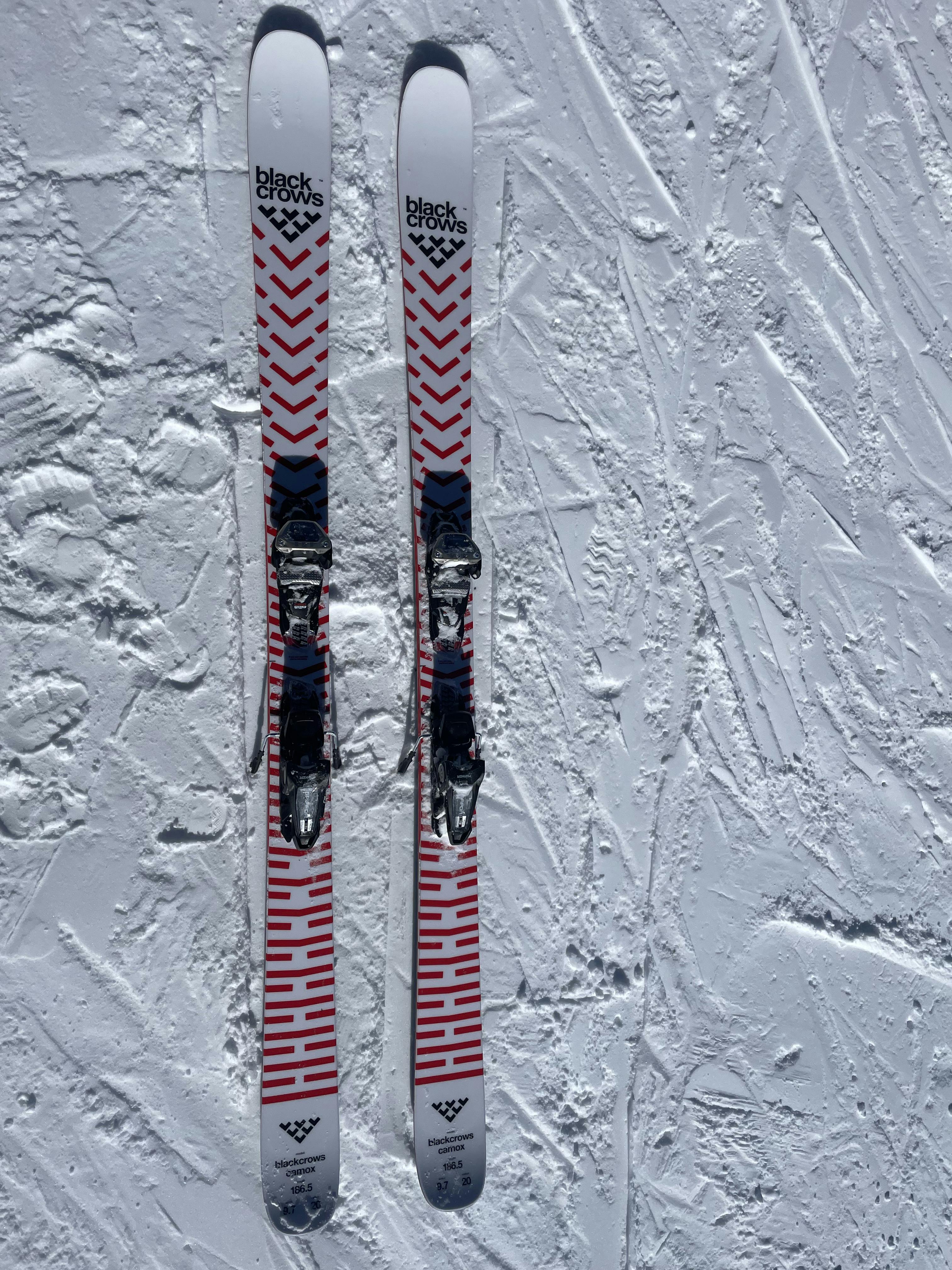Review: Black Crows Camox Skis · 2023 | Curated.com