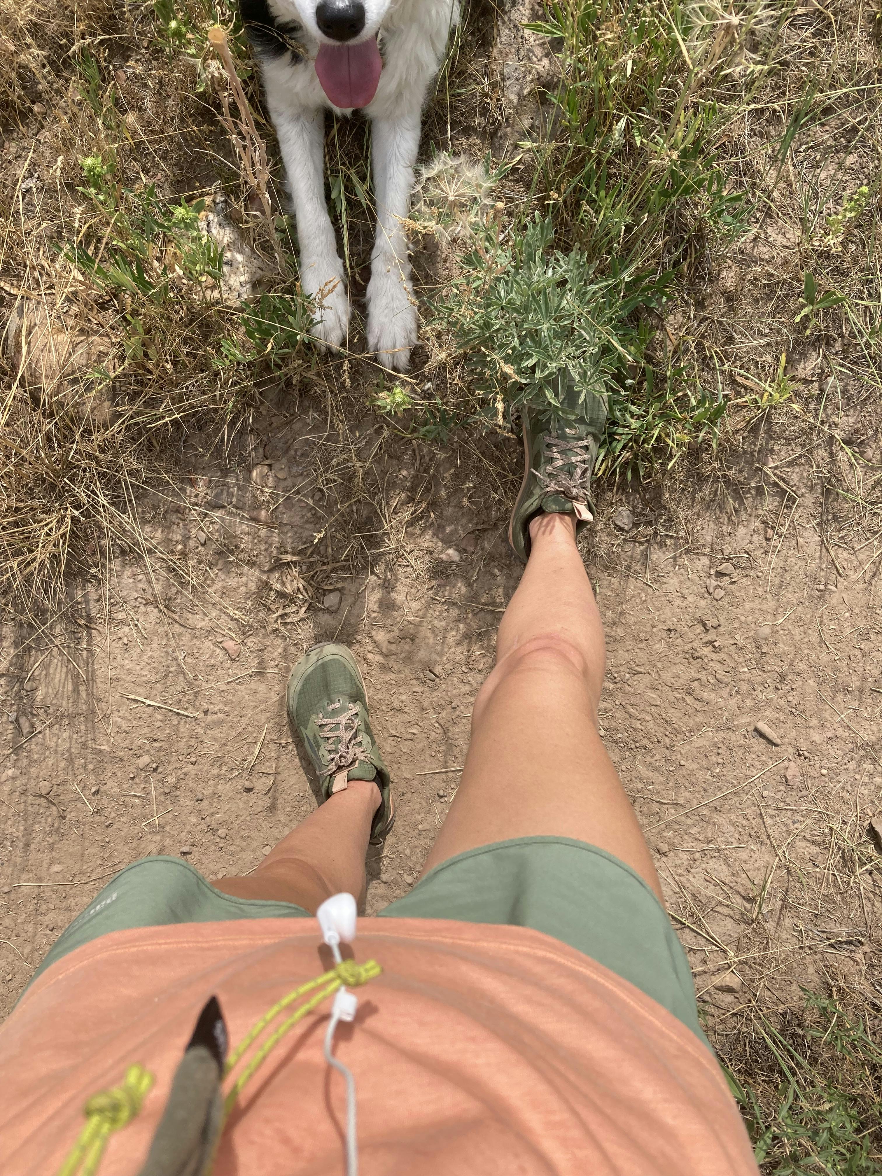 Top down view of s hiking shoe and a dog on a dirt trail. 