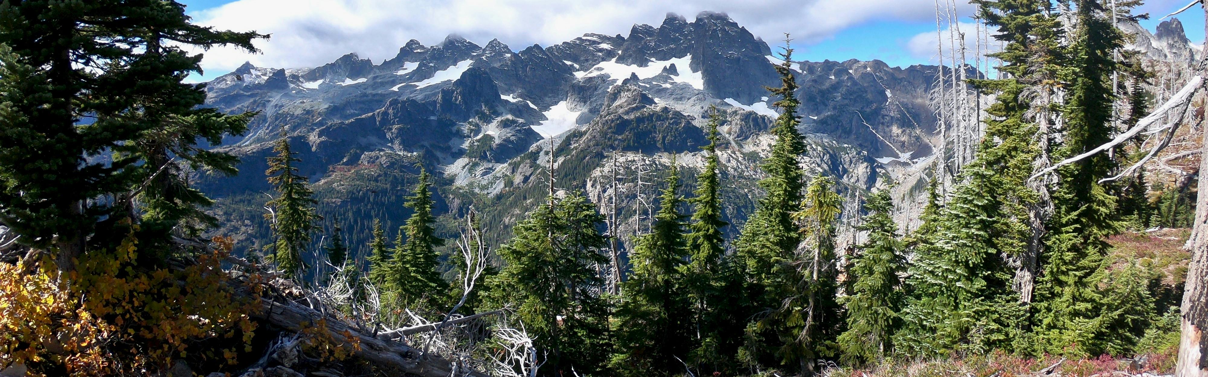 Trees and mountains on the Pacific Crest Trail