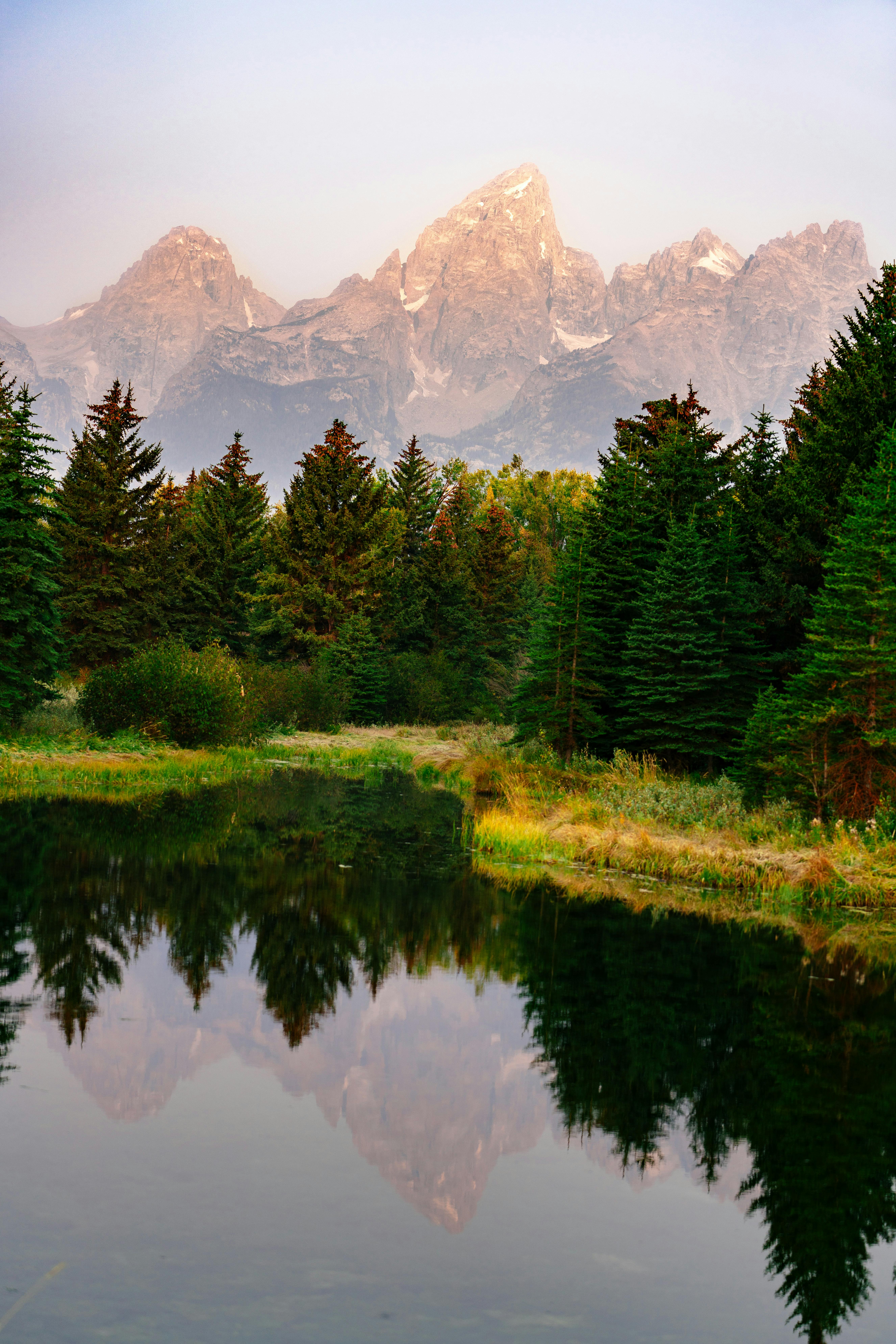 Pink, jagged peaks and green pines are perfectly reflected in a totally still pond.