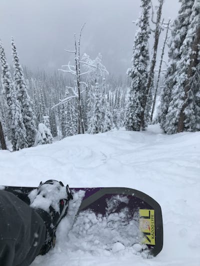 Top down view of a snowboard with a boot strapped into it at the top of a powdery, tree run.
