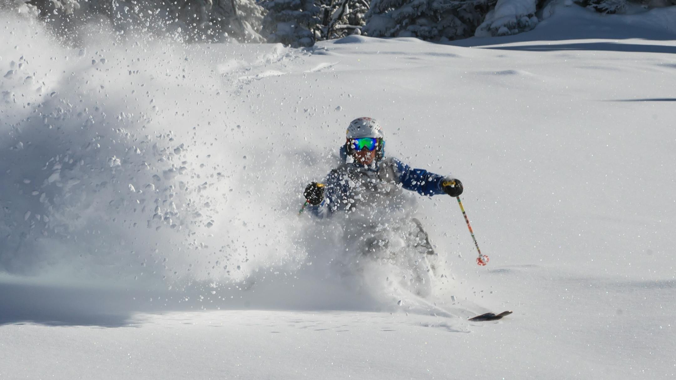 A skier riding through a powdery snow run. 