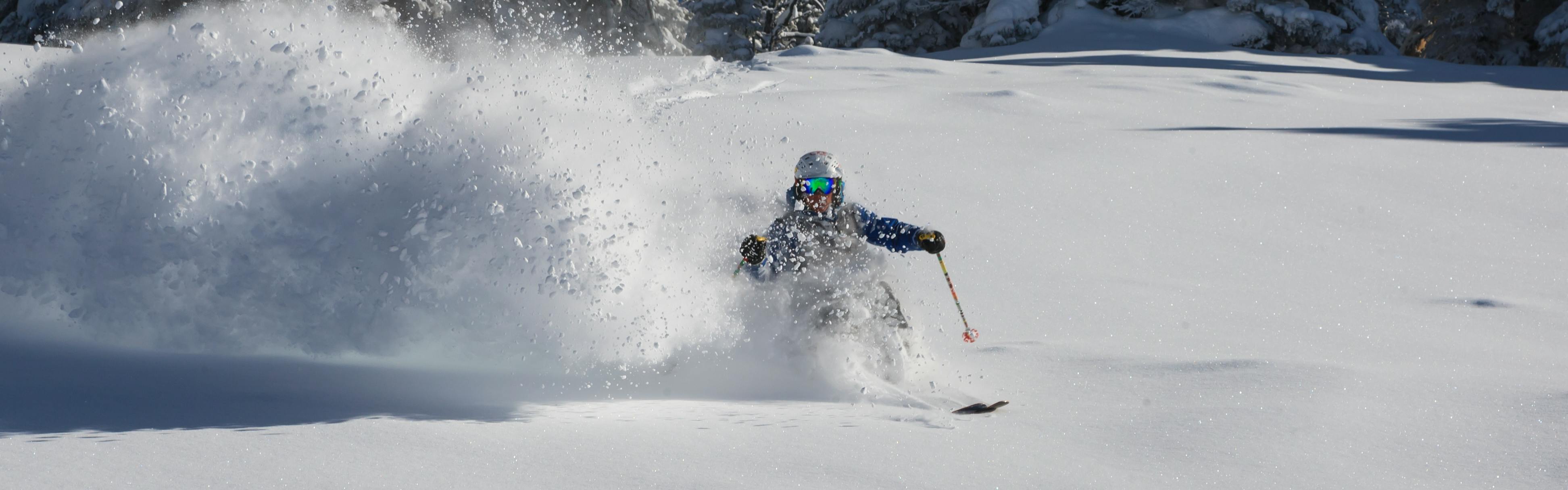 A skier riding through a powdery snow run. 