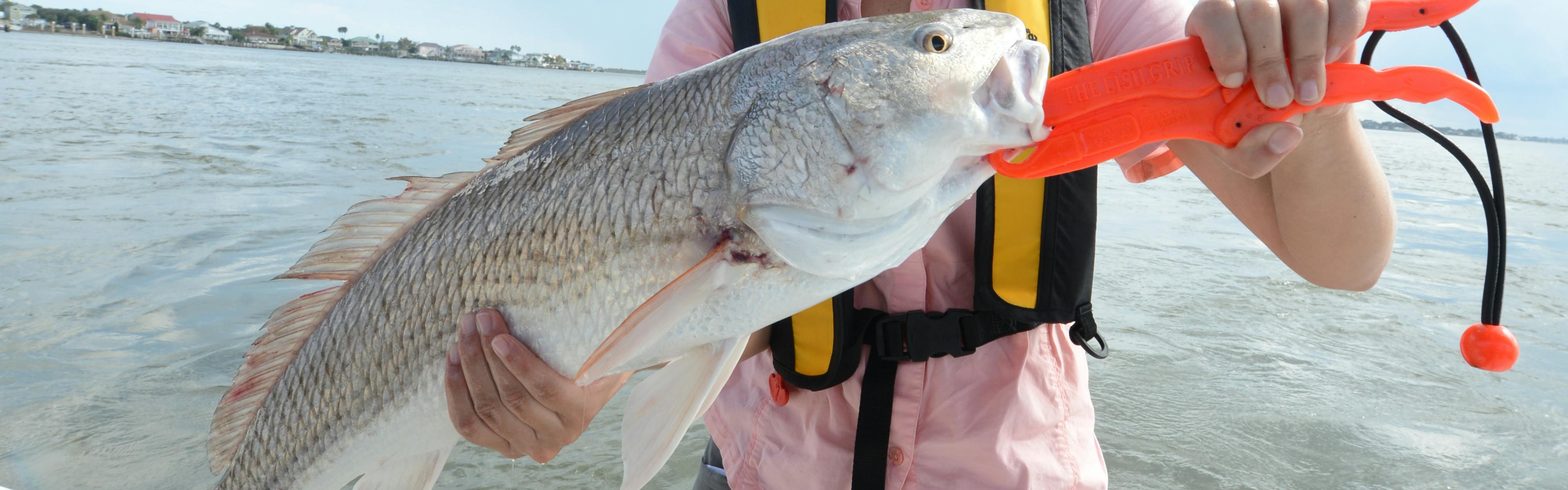 The Best Fly Fishing For Redfish Tips You Can't Miss