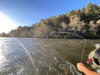 A man using a fly fishing rod on a river.
