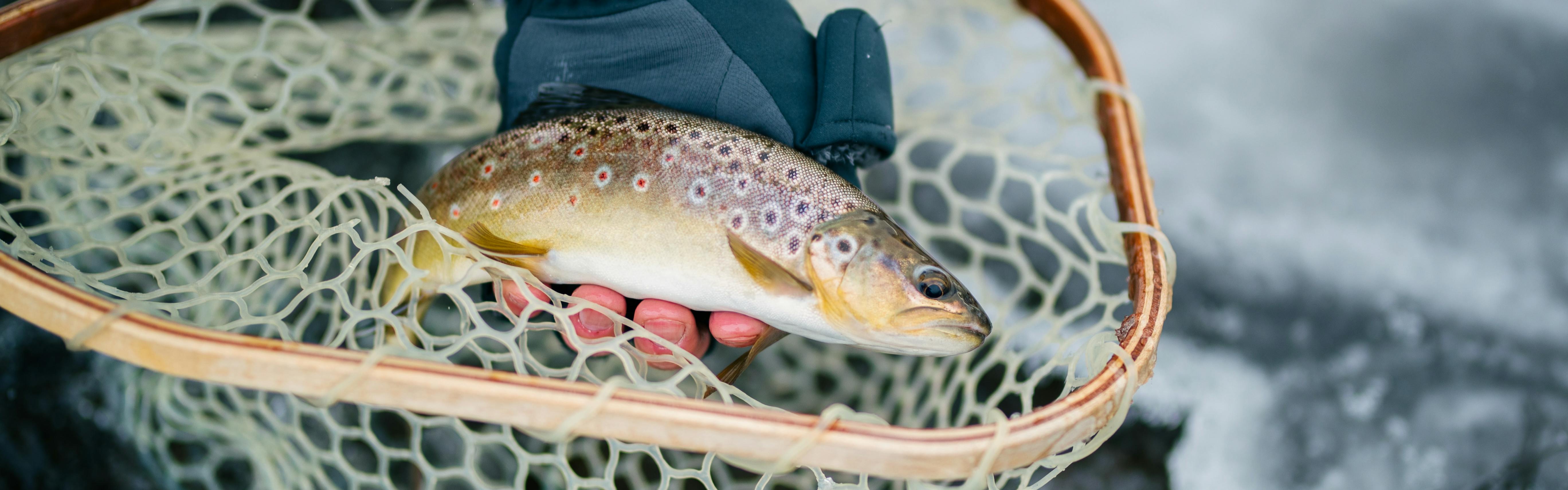 Everything You Need for a Day of Fly Fishing