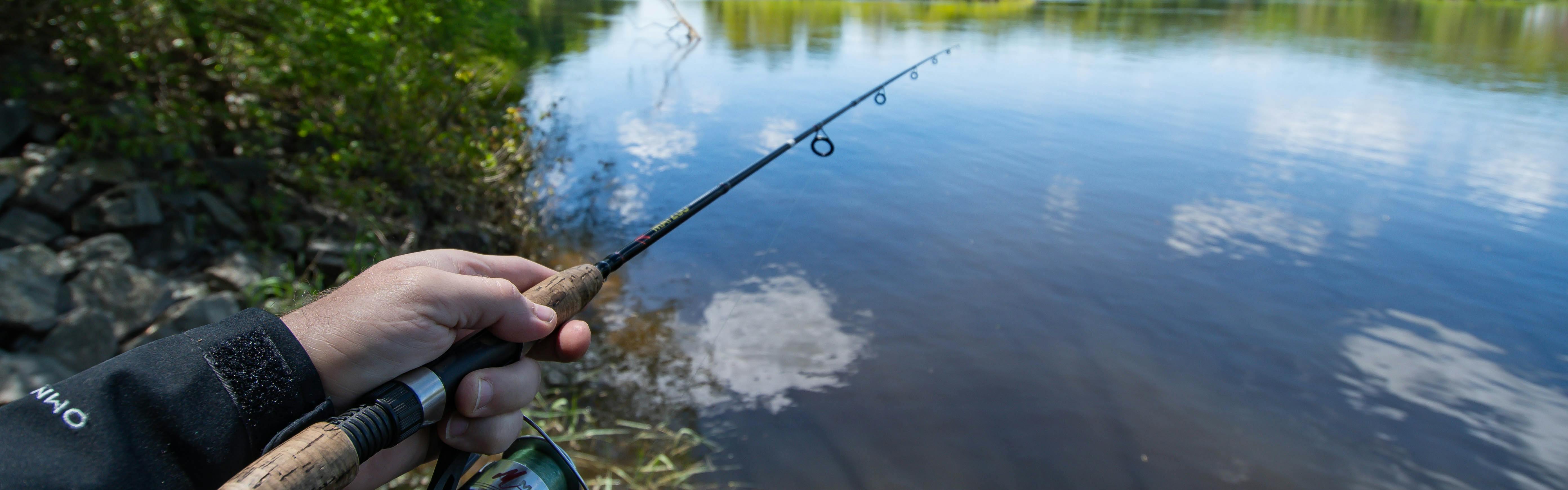 The ONLY 2 Fishing ROD and REEL Setups you NEED for Topwater FROG FISHING 