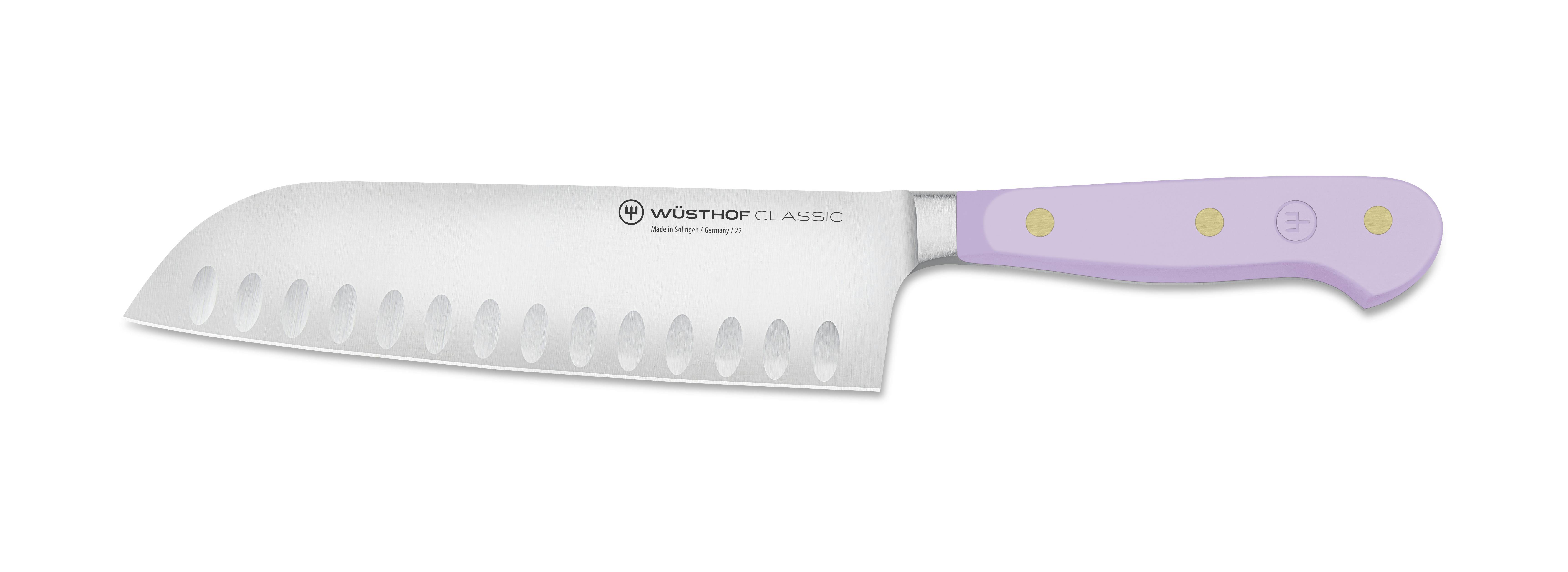 Wusthof Classic Colors 4 Piece Steak Knife Set, inchPurple Yam inch Handles