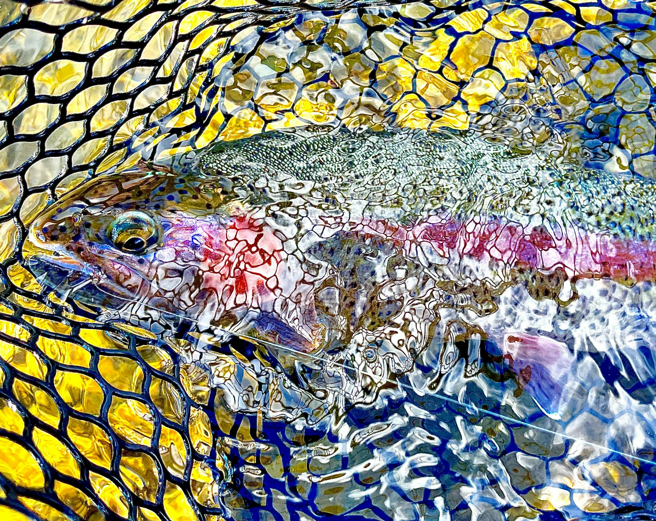 A fish is in a fishing net with a line in its mouth.