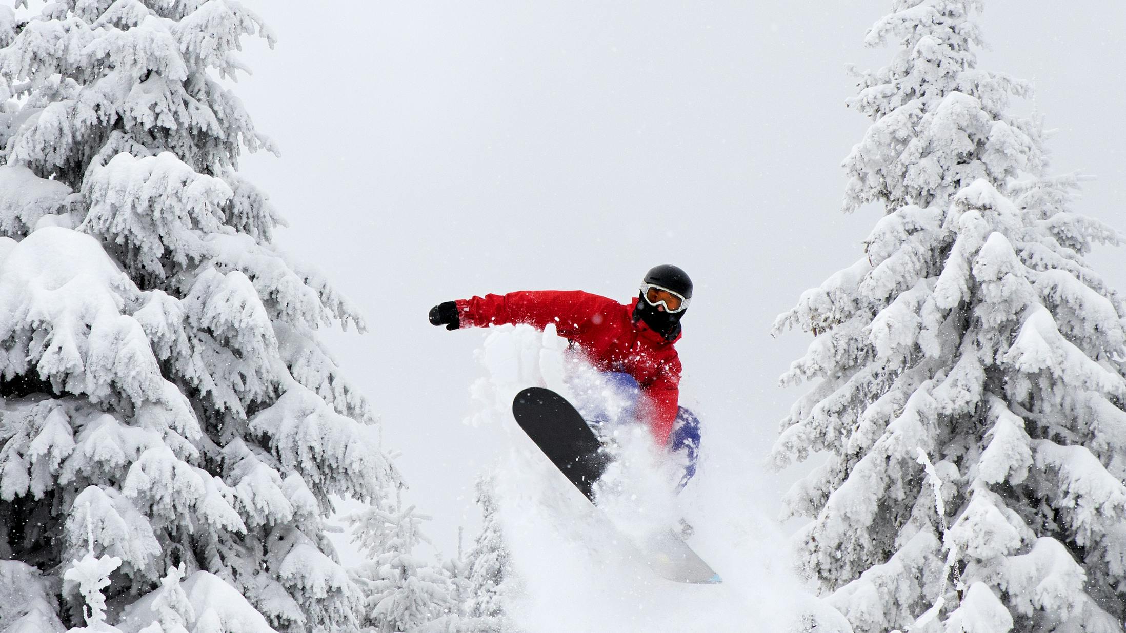 A snowboarder in a red jacket jumps between snowy trees