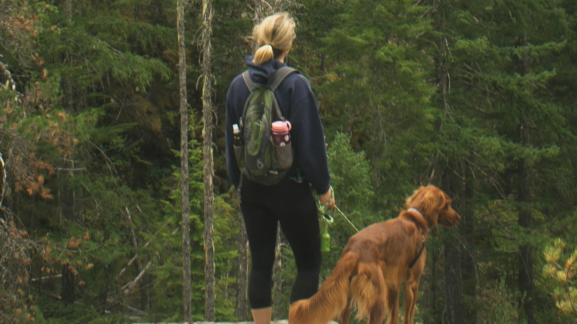A hiker standing overlooking a wooded area with her dog next to her. She has a hiking backpack on which has a water bottle in one of the pockets. 