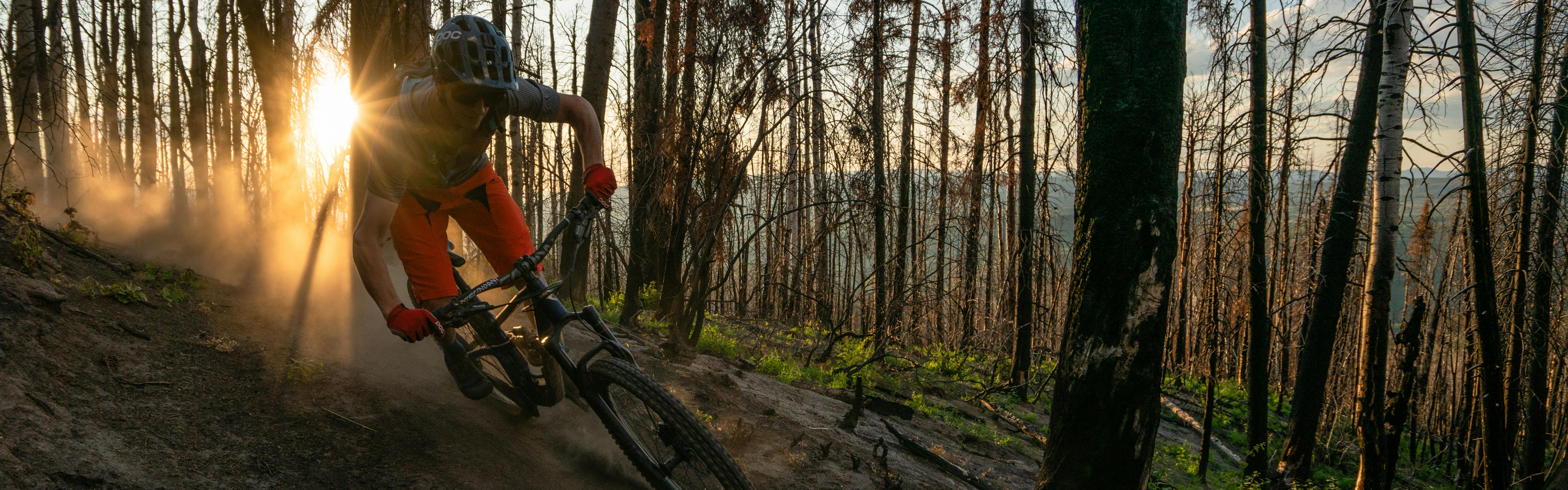 Man mountain biking down a dirt path through the forest, the sun setting behind him.