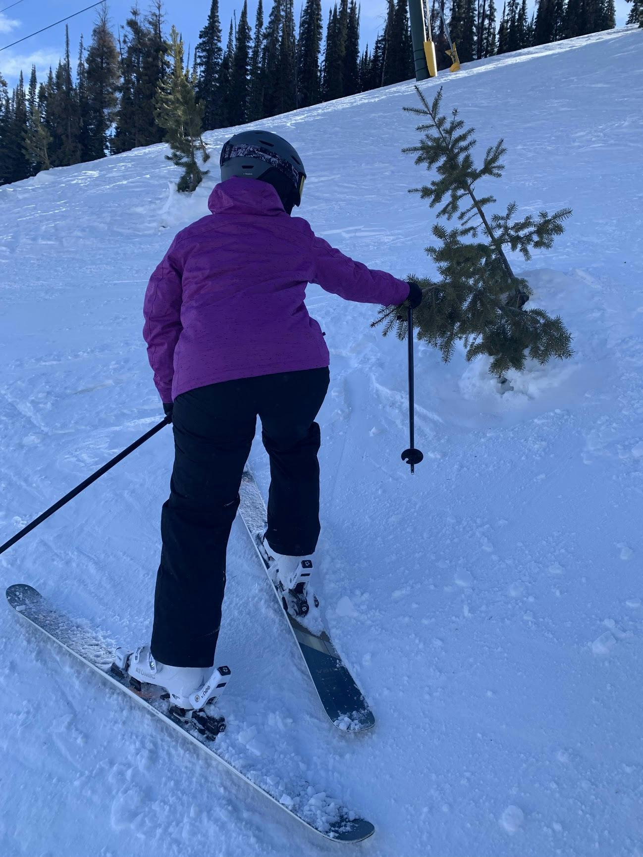 A skier on a snowy ski trail. 