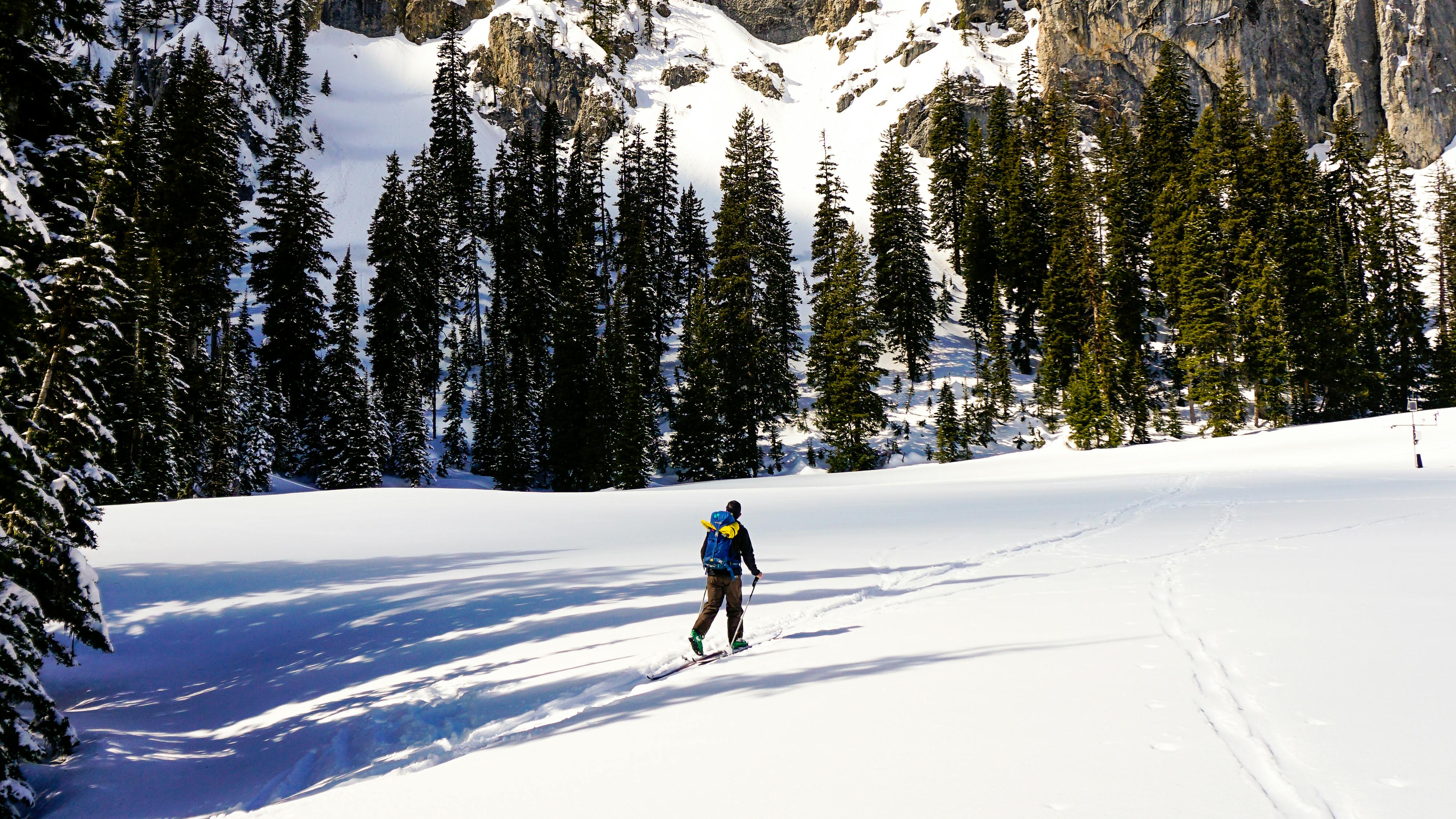 cross-country skiier in powder surrounded by trees