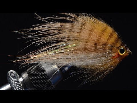 Umpqua Dirty Hippy Fly · 4 · Brown