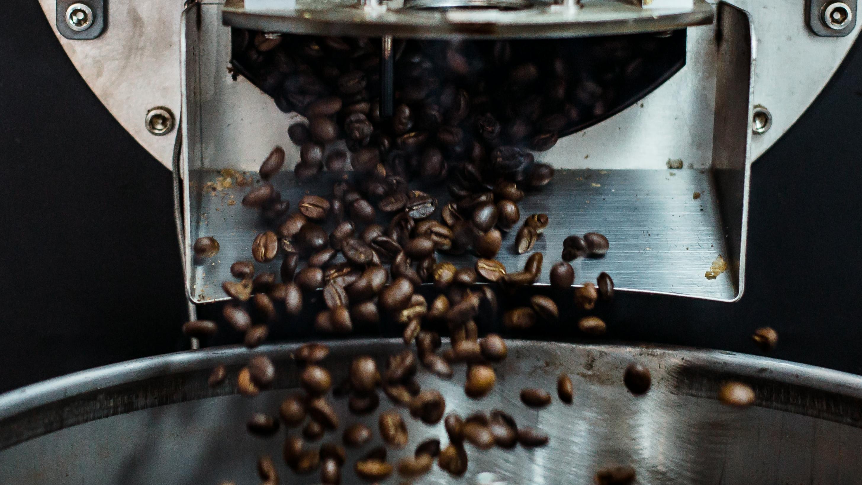 Roasted coffee beans pour out of a roaster.