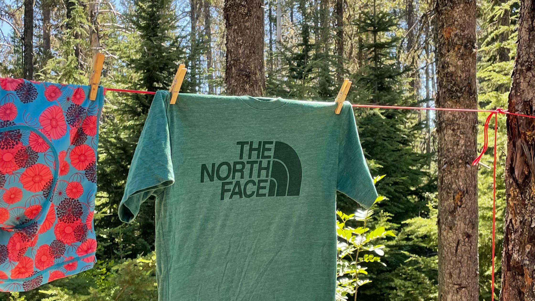 A pair of red and blue boxer briefs and a green North Face t-shirt are hung by clothespins on a line attached to a pine tree. 