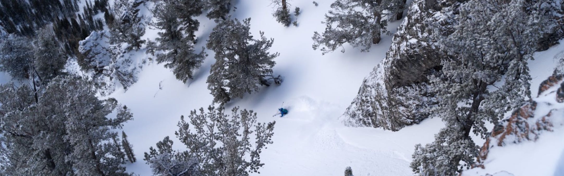 Aerial view of a skier skiing on a ski run with several trees on either side. 