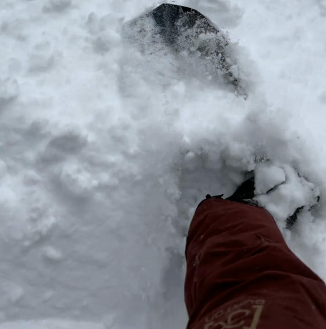 Top down view of a snowboard in snow. 