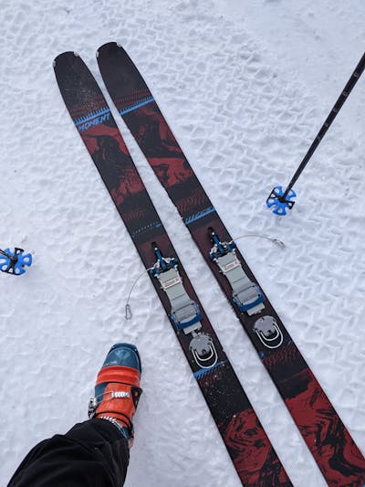 Top down view of the Moment Wildcat 108 skis. 