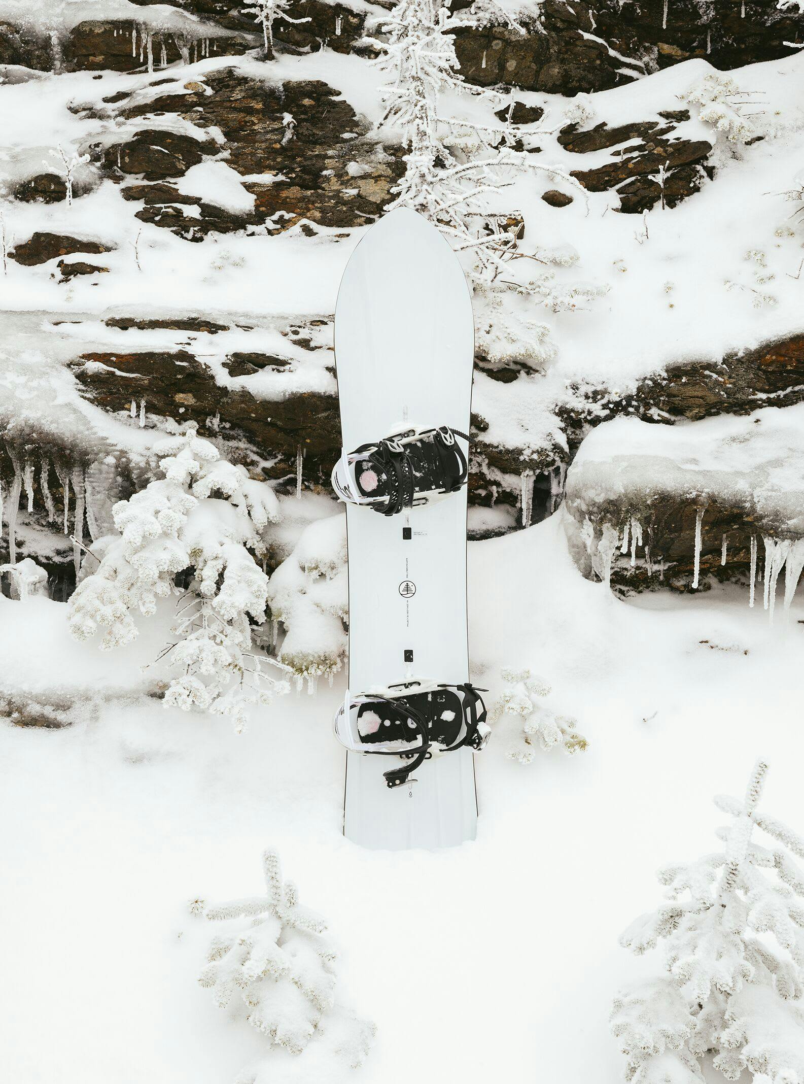 Burton Family Tree 3D Deep Daze Snowboard · 2023