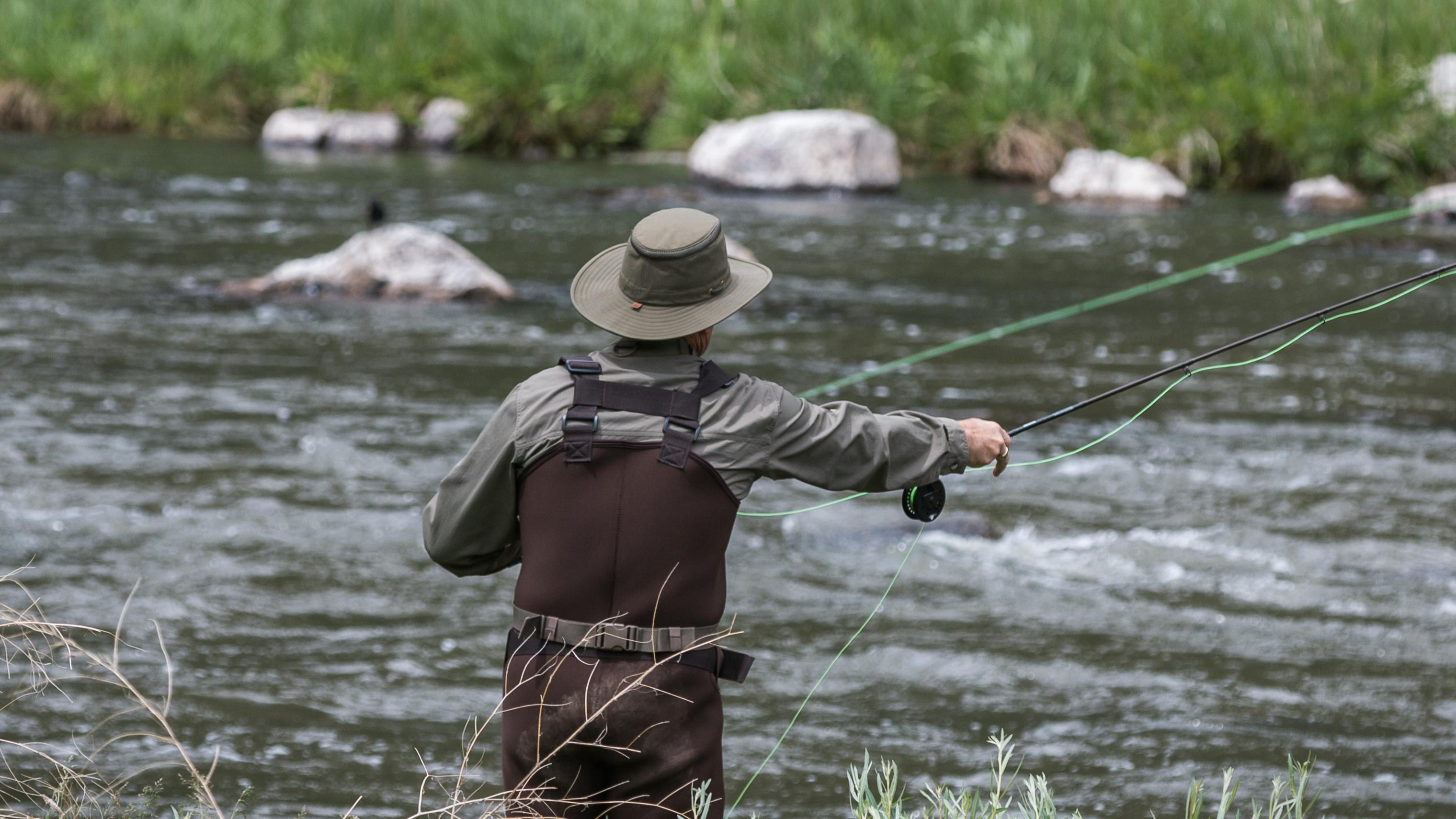 A man is fly fishing and standing in a river with waders on. 