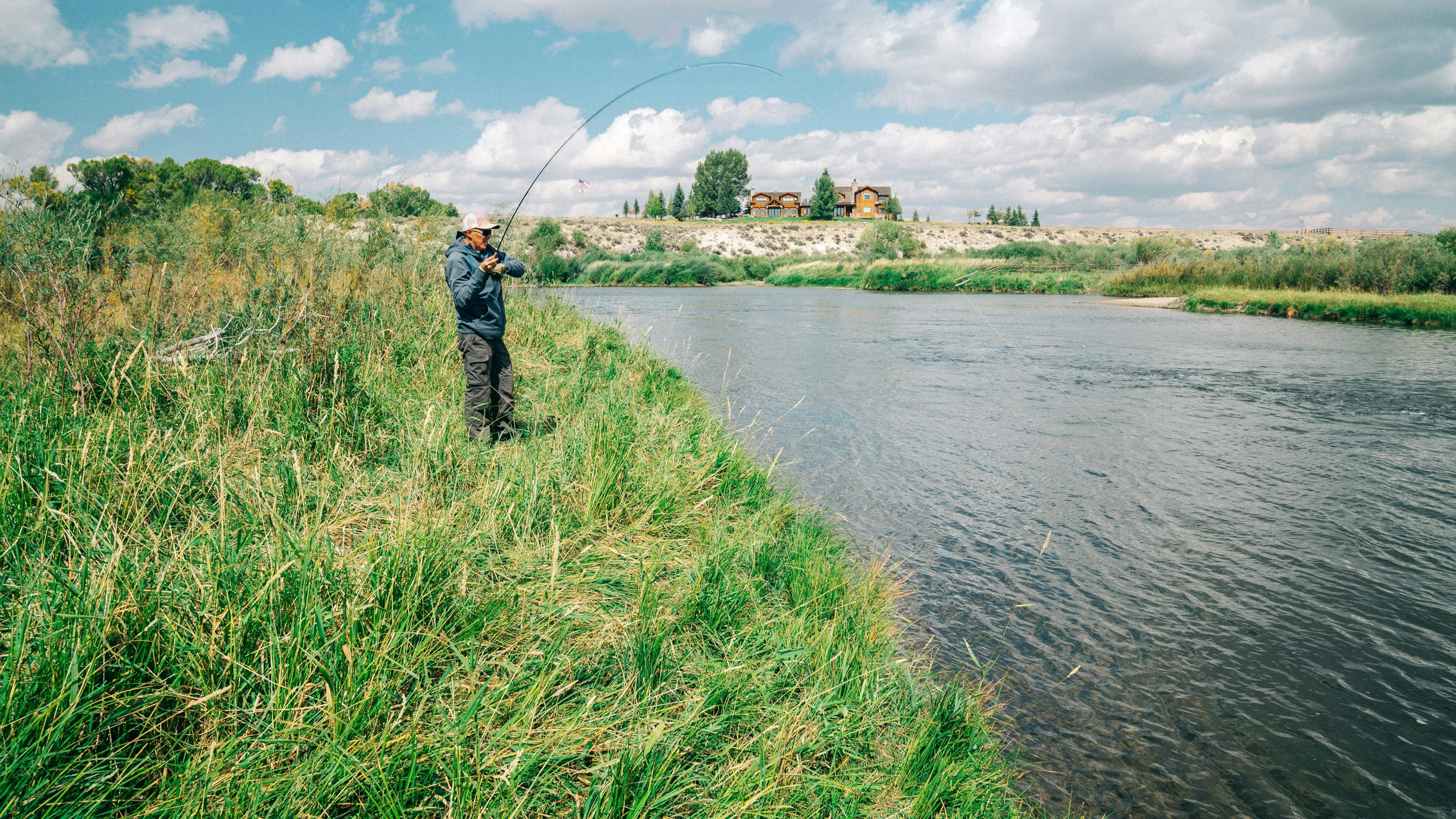 Man fly fishing from a green grassy patch into a river. 