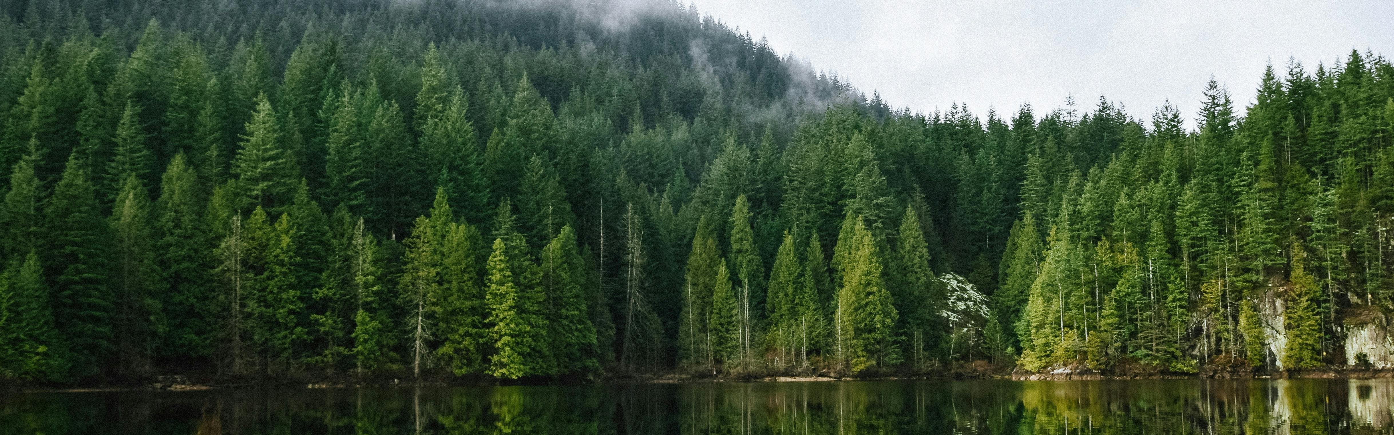 A tree covered mountain rises up from a lake