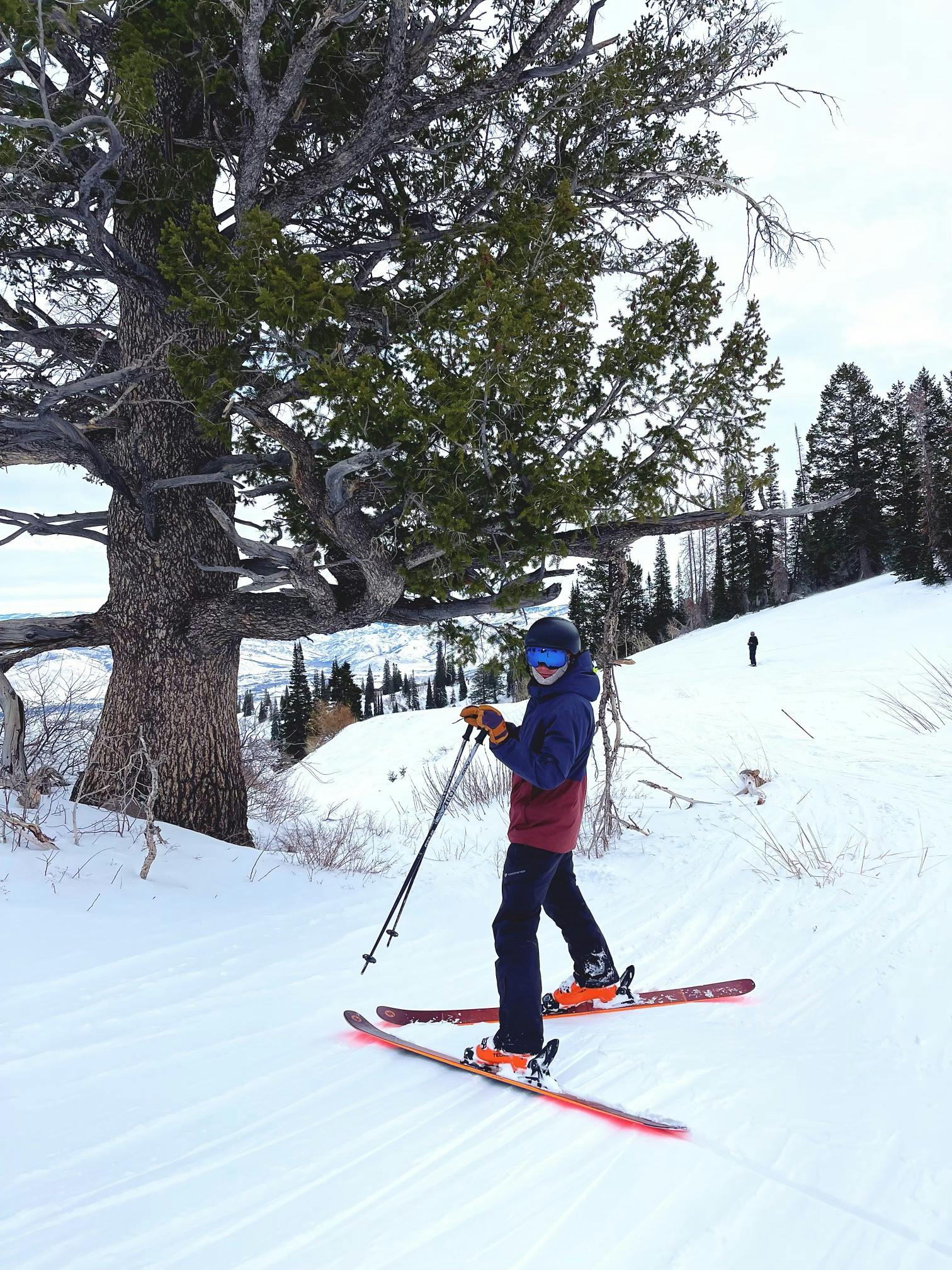 A skier on the  Blizzard Cochise 106 Skis · 2021.