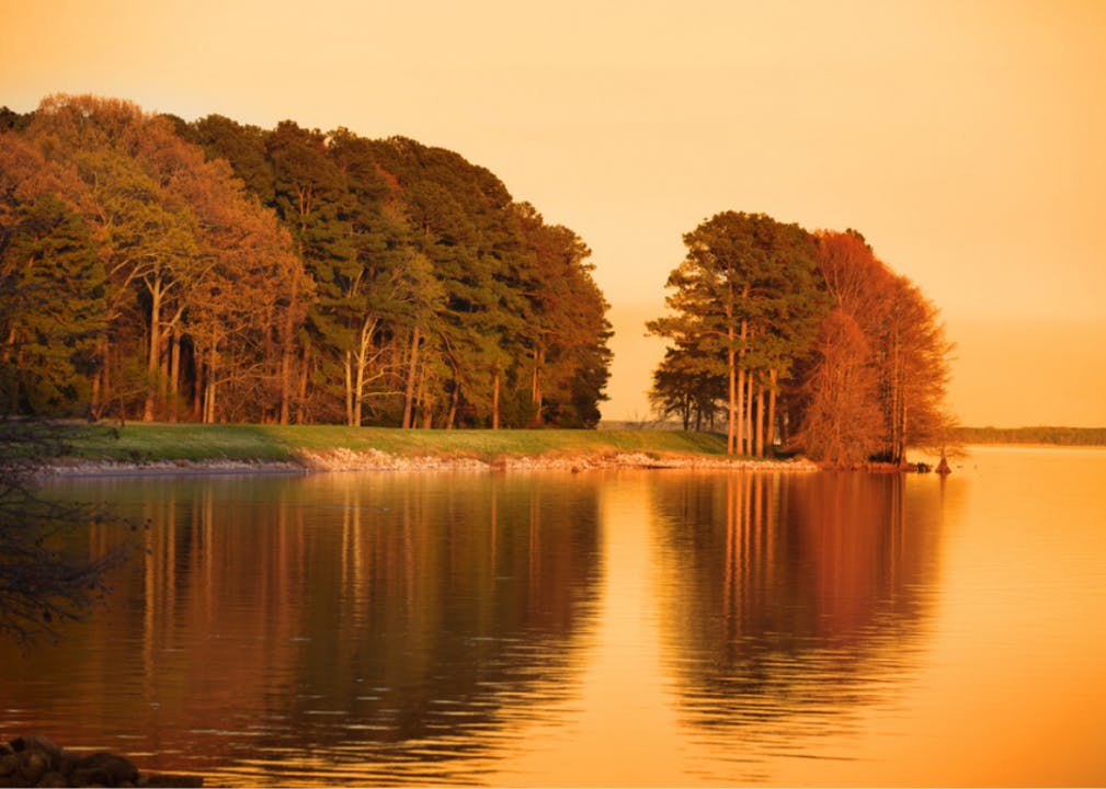A river and trees on the bank illuminated in the orange glow of sunset