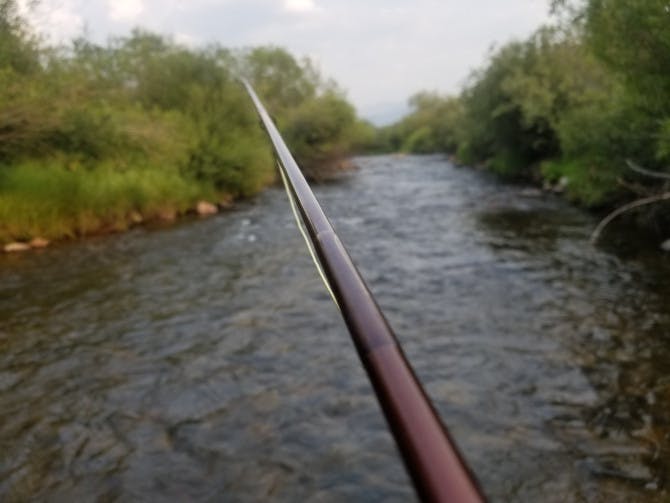 A closeup of a fishing rod in front of a river bordered by green foliage. 