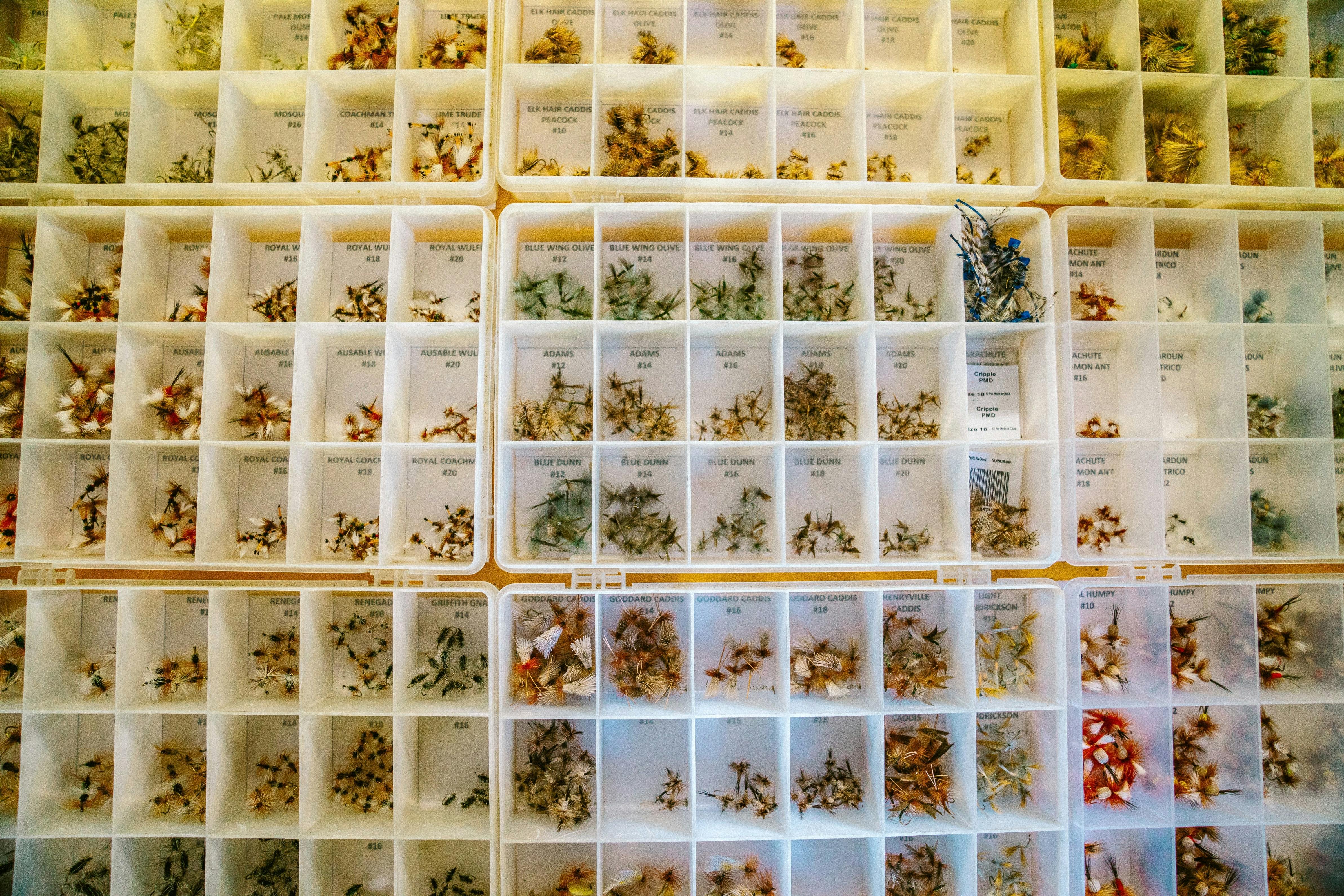 A wall of cubbyholes filled with different types of flies