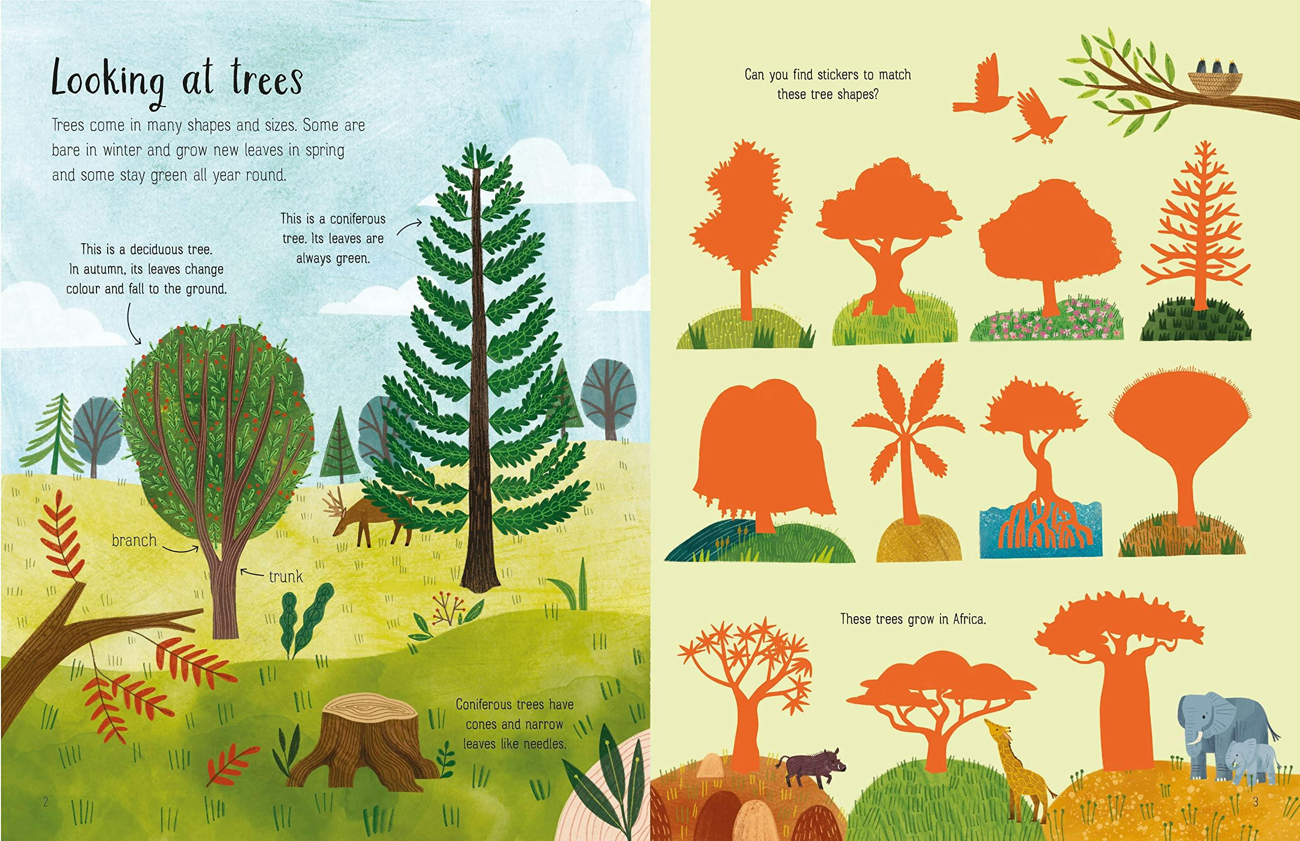 Usborne First Sticker Book Trees