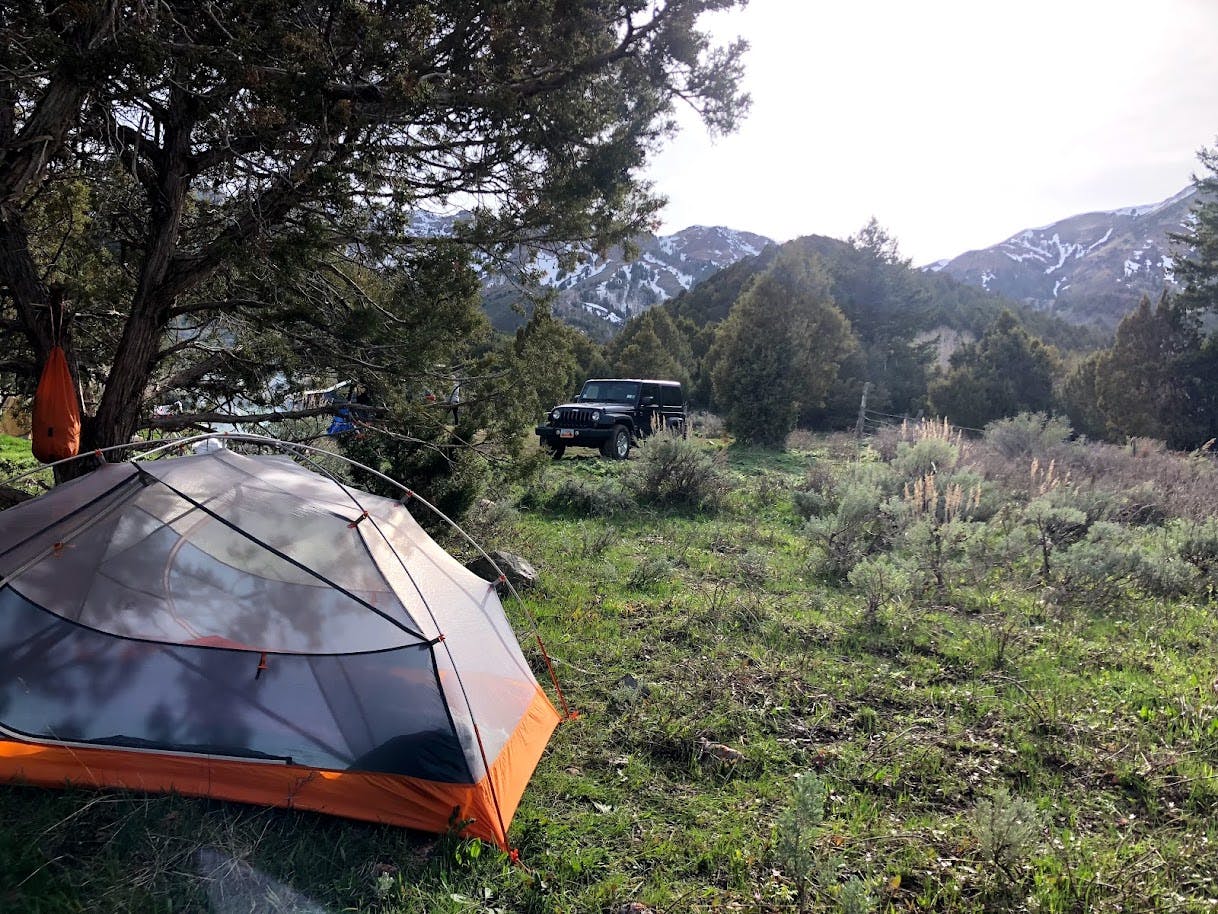A tent lies on a green meadow. Something is hanging from a tree next to the tent. On the edge of the meadow is a black Jeep.