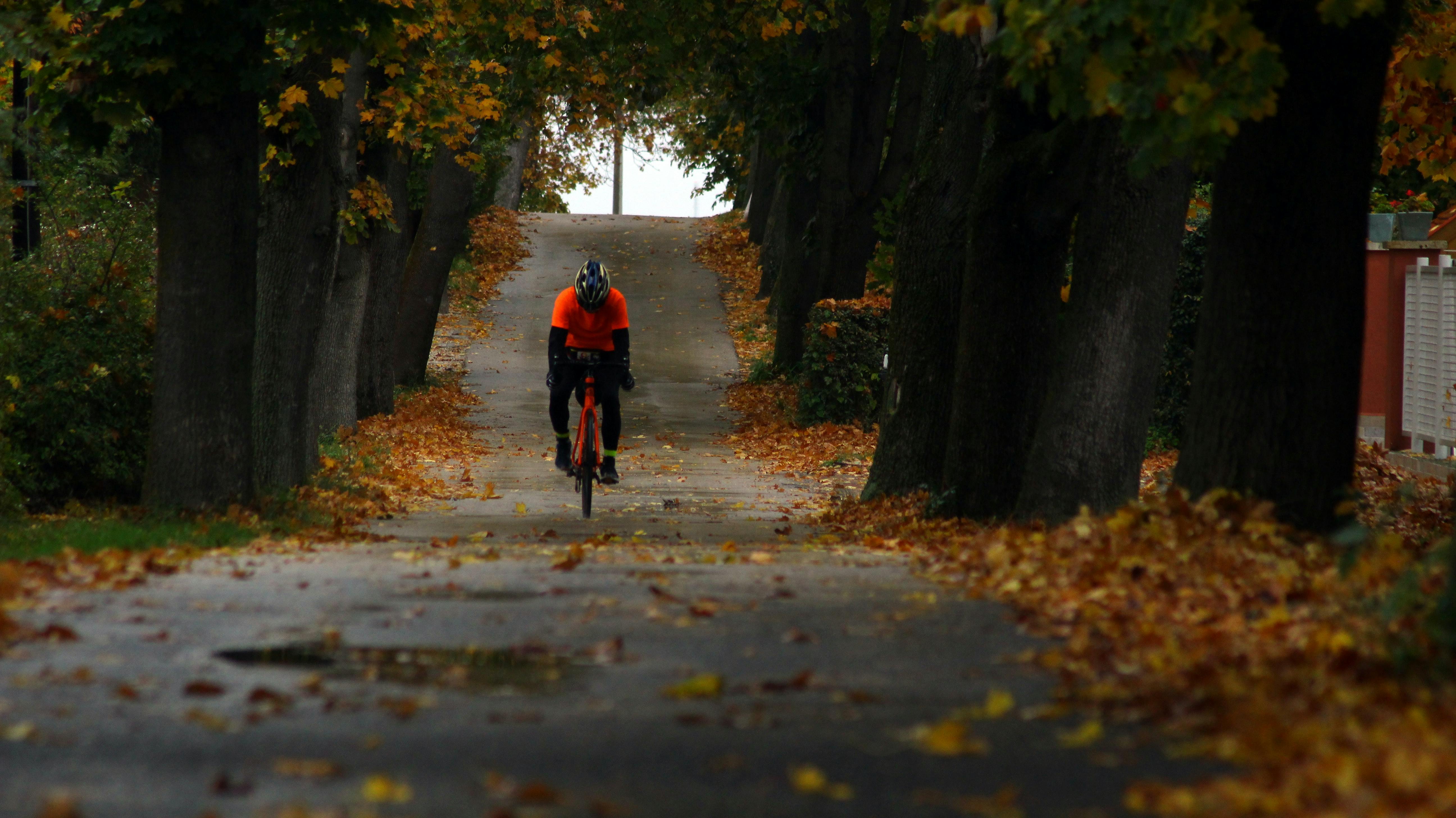 A man cycles on the pavement. The road or path is covered in fallen, orange leaves. 