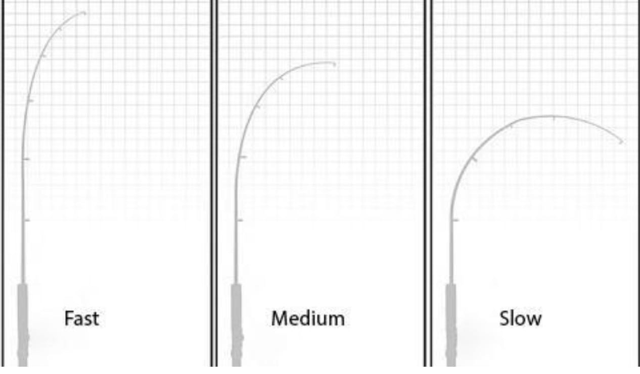 A diagram showing the difference in rod bend in a slow, medium, and fast action fly rod. 