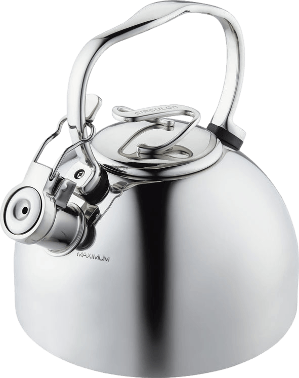 Blue Tea Kettle Stainless Steel Whistling Teapot - 2.6 Liter