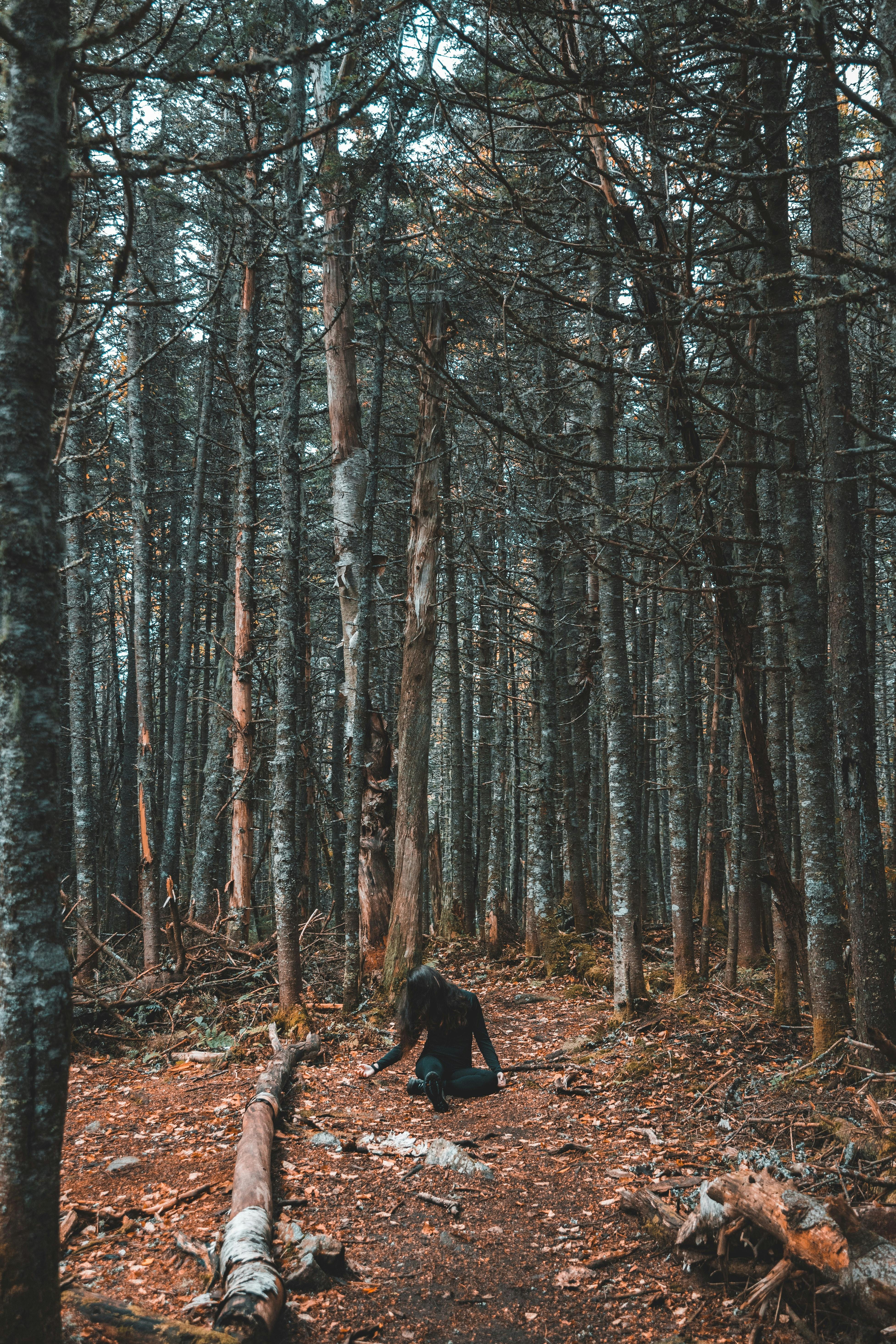 A woman sitting on the ground by a log in a forest